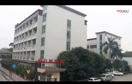 广东明日新能源有限公司