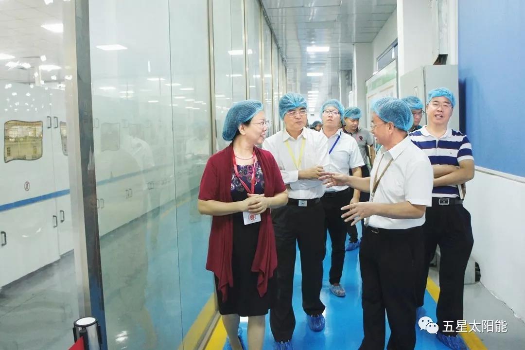 市人大副主任周楚良率队视察五星