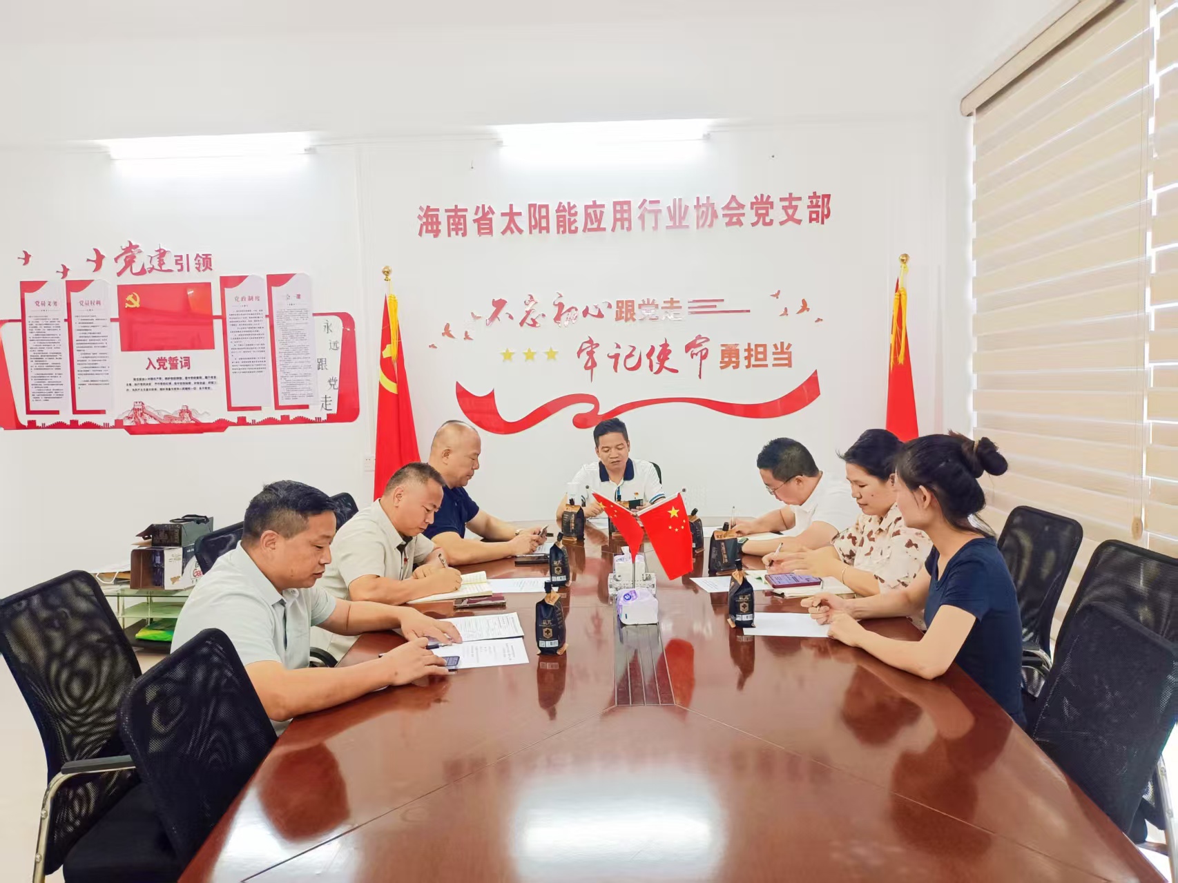 回望党的光辉历程 凝聚奋进磅礴力量—海南省太阳能应用行业协会党支部开展建党105周年专题党课